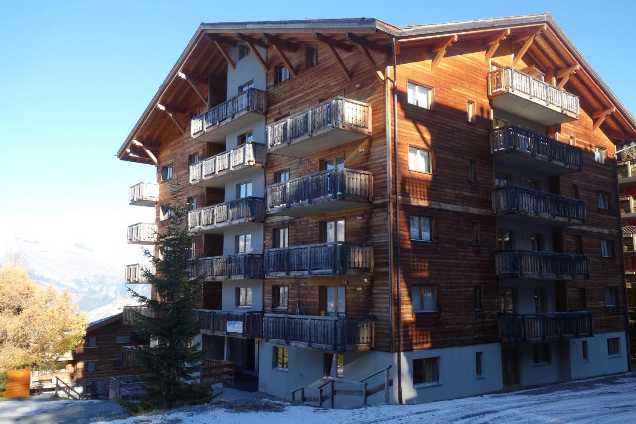 Pracondu Outdoor & Fun Appartement 2 Chambres Superieur Avec Balcon Nendaz Dış mekan fotoğraf