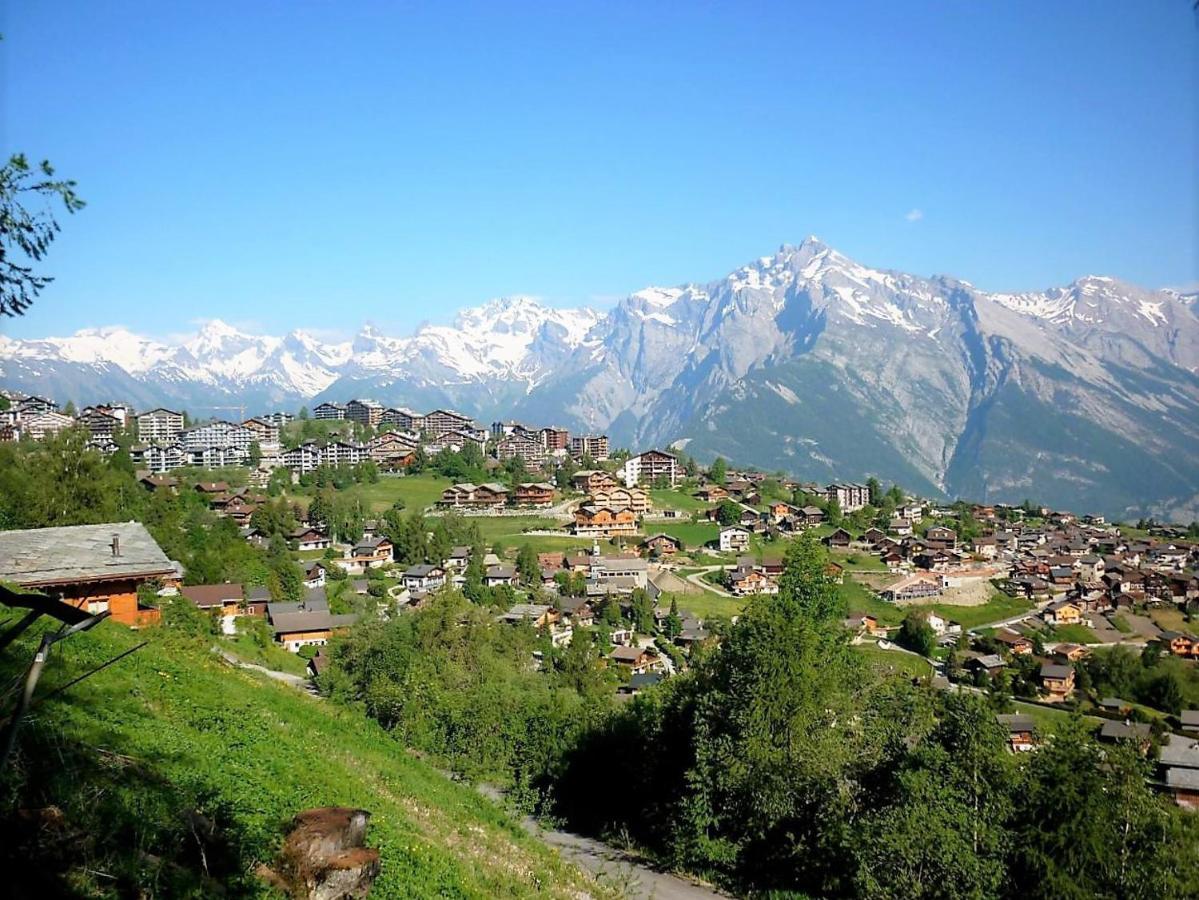 Pracondu Outdoor & Fun Appartement 2 Chambres Superieur Avec Balcon Nendaz Dış mekan fotoğraf