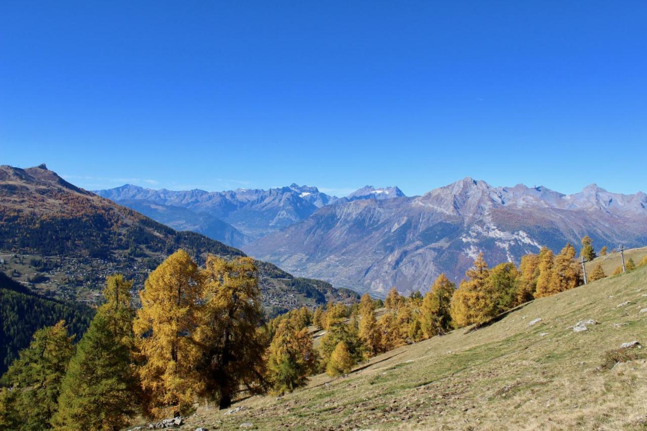 Pracondu Outdoor & Fun Appartement 2 Chambres Superieur Avec Balcon Nendaz Dış mekan fotoğraf