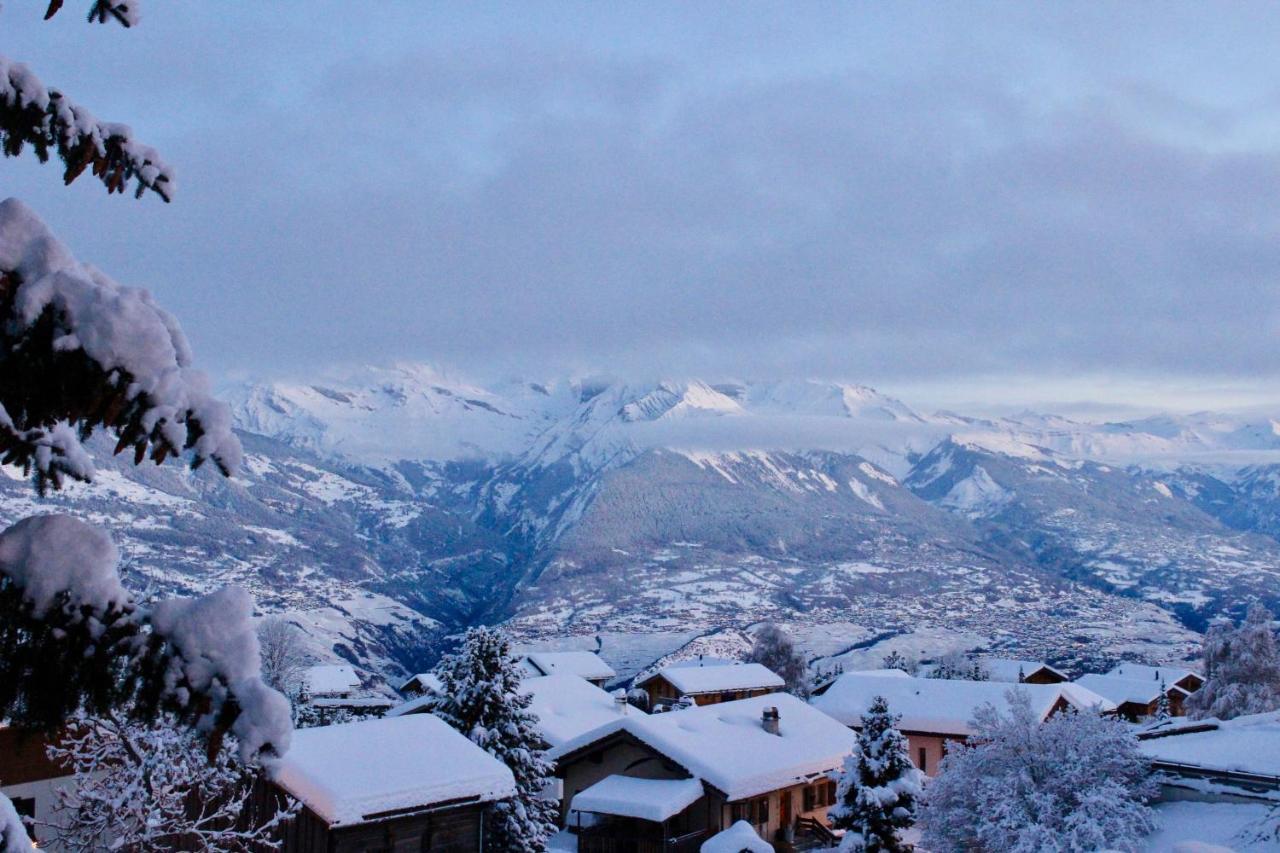 Pracondu Outdoor & Fun Appartement 2 Chambres Superieur Avec Balcon Nendaz Dış mekan fotoğraf